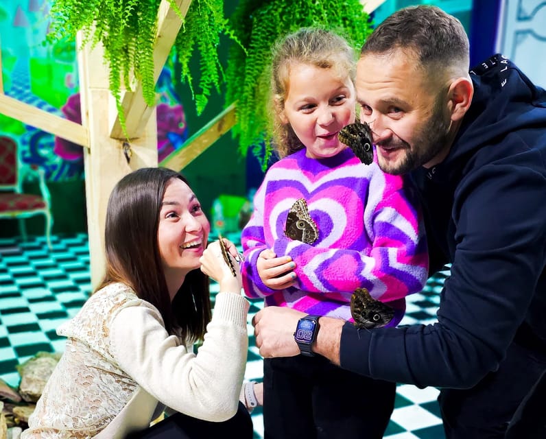 Krakow: Museum of Living Butterflies 2+1 - Practical Details and Value
