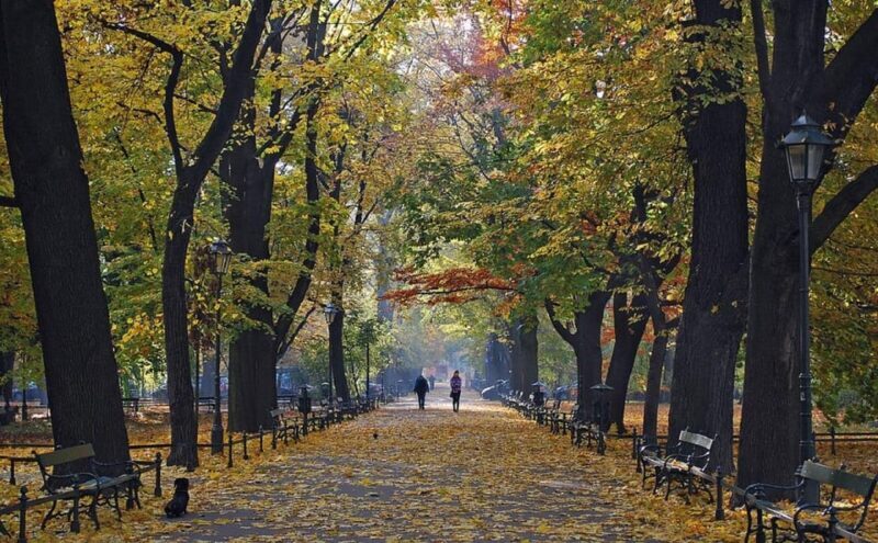 Krakow: Old Town "Royal Route" Walking Tour - Introduction: An Engaging Introduction to Krakow’s Highlights