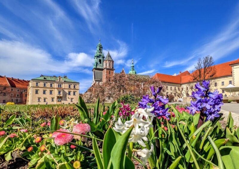 Kraków: Old Town & Wawel Castle Walking Tour - Final Thoughts