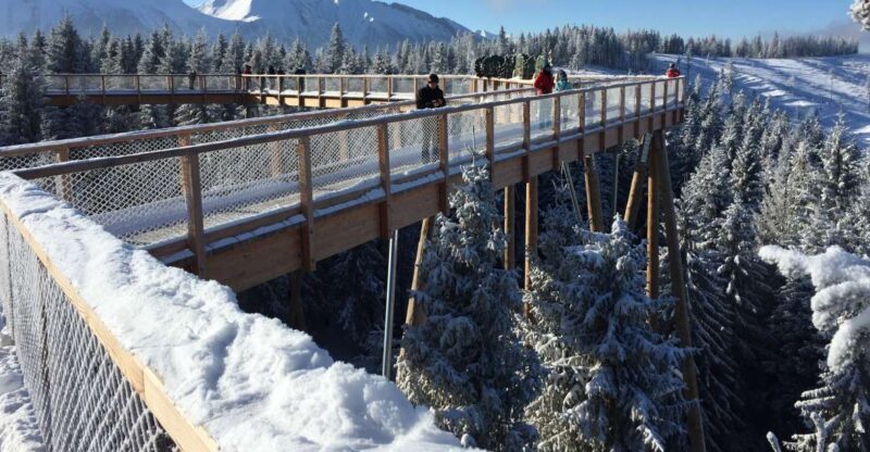 Krakow: Slovakia Treetop Walk & Zakopane Tour (Hotel Pickup) - An In-Depth Look at the Experience