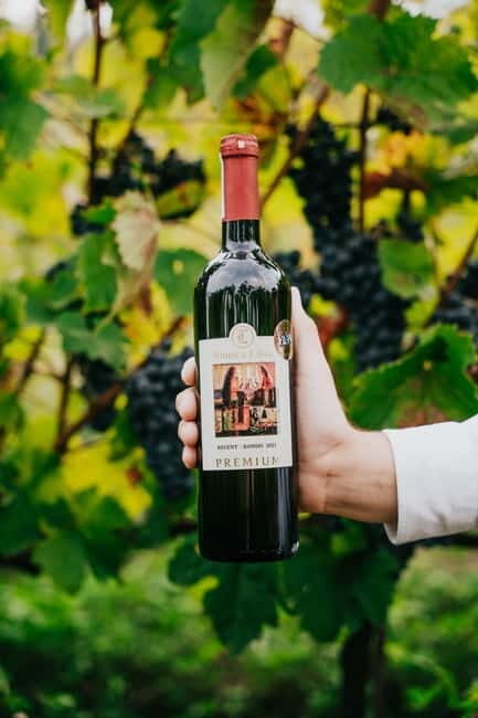 Krakow: Vineyard Tour with Wine Tasting and Dinner - FAQs