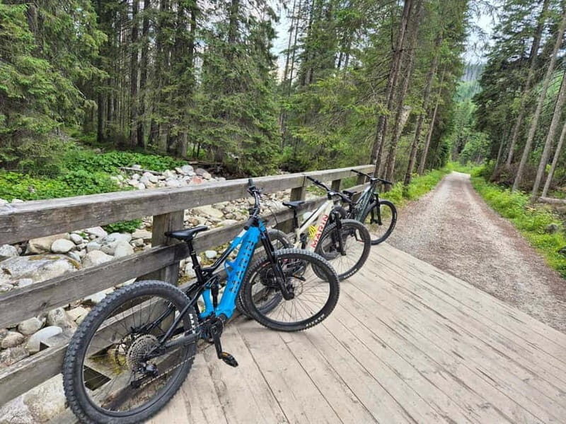 Krakow: Zakopane & Tatra Mountains E-Bike Tour & Spa - Key Points