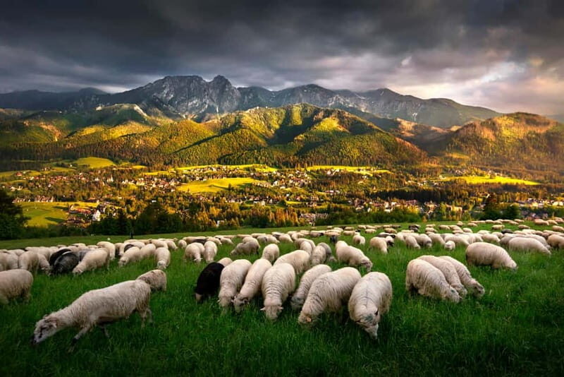 Krakow: Zakopane Trip with Thermal Pools & Hotel Pick-up - Key Points