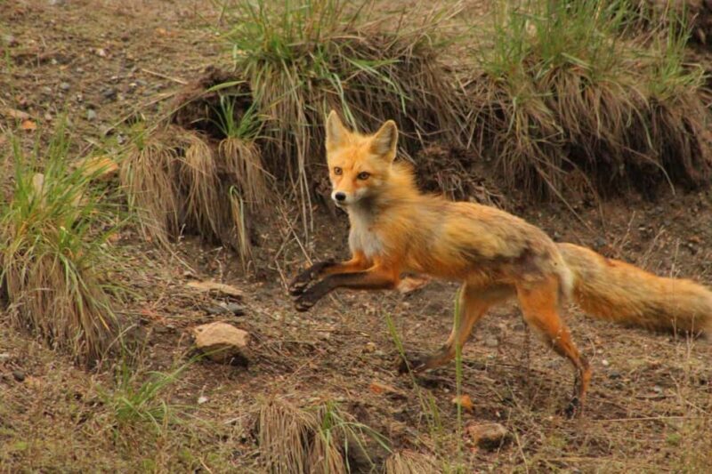 Kremmling: Colorado River Rafting With Hot Springs - What’s Included and What’s Not