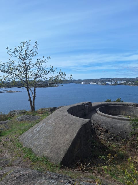 Kristiansand: Walking Tour on Ex-Military Island Odderøya - Historical Significance