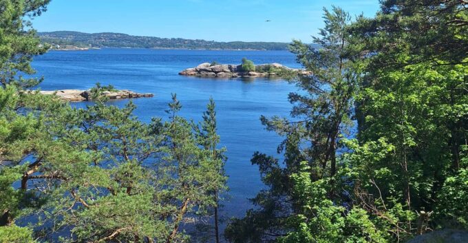 Kristiansand: Walking Tour on Ex-Military Island Odderøya - What to Bring