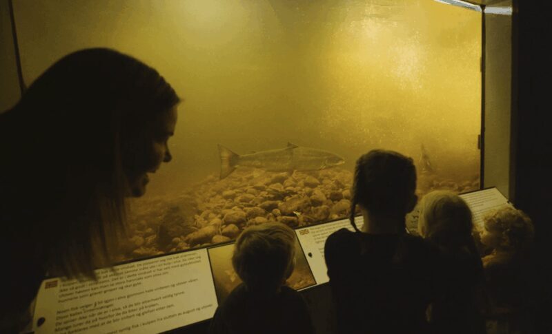 Kristiansand: Wild Salmon Center Guided Tour with Bus Ride - An In-Depth Look at the Tour Experience