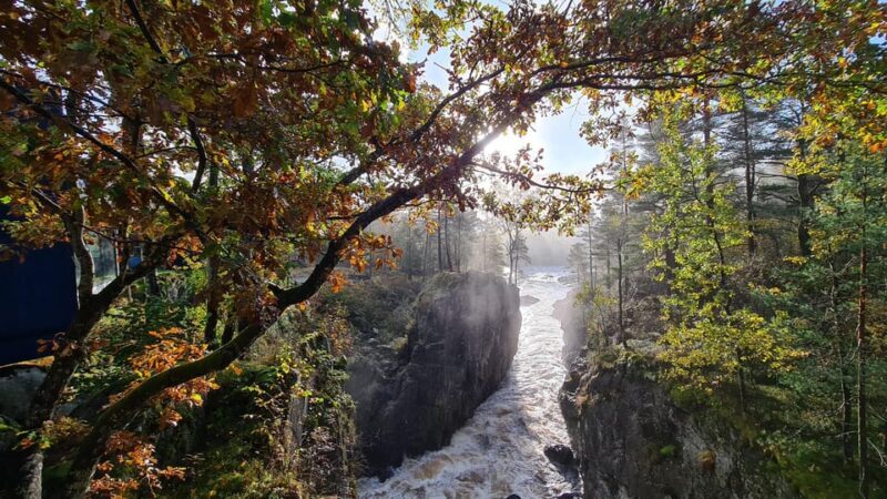 Kristiansand: Wild Salmon Center Guided Tour with Bus Ride - Final Thoughts