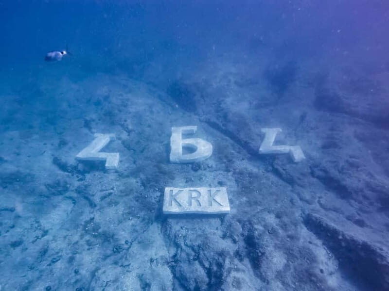 Krk: 45-Minute Semi-Submarine Tour - Who Should Consider This Tour?