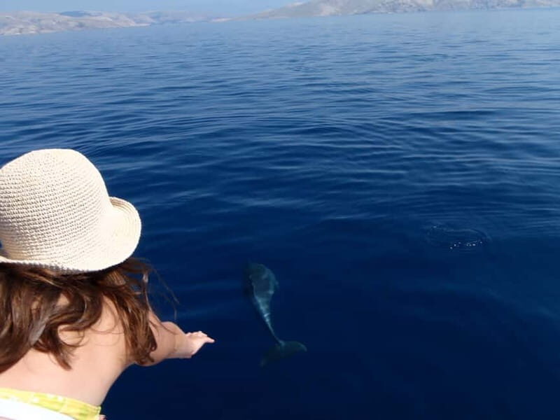 Krk: Boat Trip to Rab & Pag with Sightseeing & Swimming - An In-Depth Look at the Krk Boat Trip to Rab & Pag