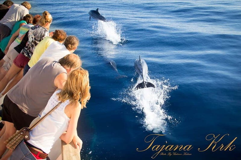Krk: Boat Trip to Rab & Pag with Sightseeing & Swimming - Why This Tour Offers Great Value  