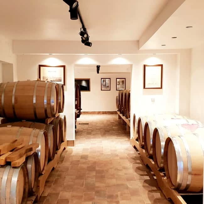 Krk: Family-Owned Winery Tour and Tasting - Who Will Enjoy This Tour?
