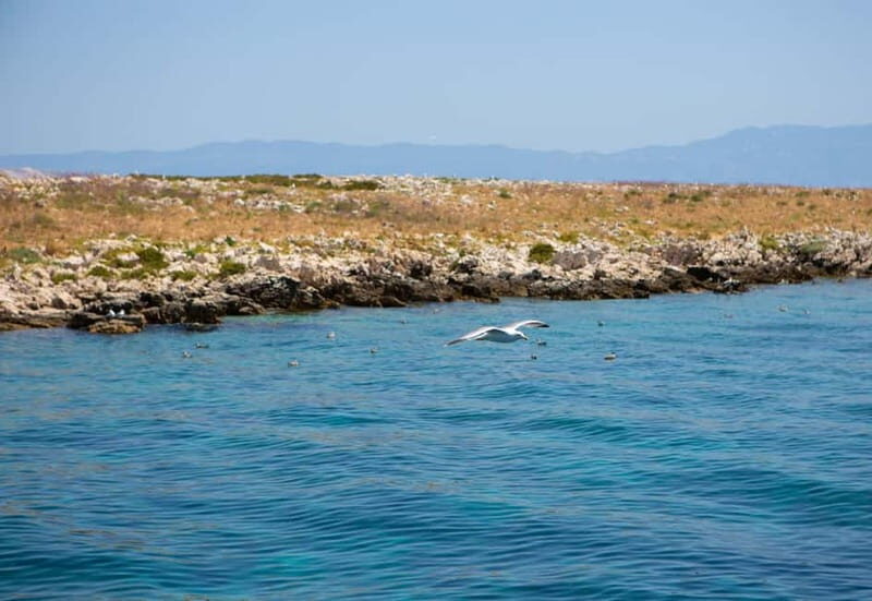 Krk : Sailing along the coasts of island Krk and Plavnik - Practical Details and Considerations
