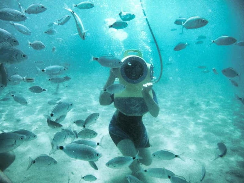 Krk: Skip-the-Line Entry to Underwater Park Punat - Final Thoughts: Who Should Consider This Tour?