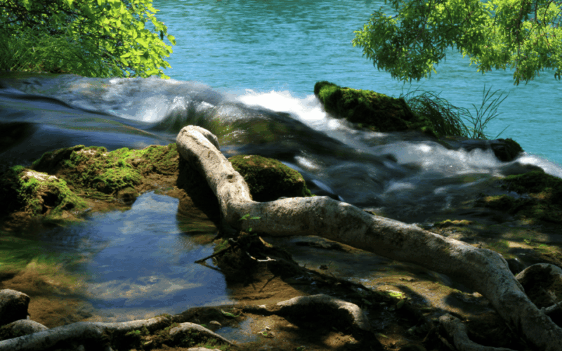Krka National Park Private Full Day Tour From Dubrovnik - Park Highlights