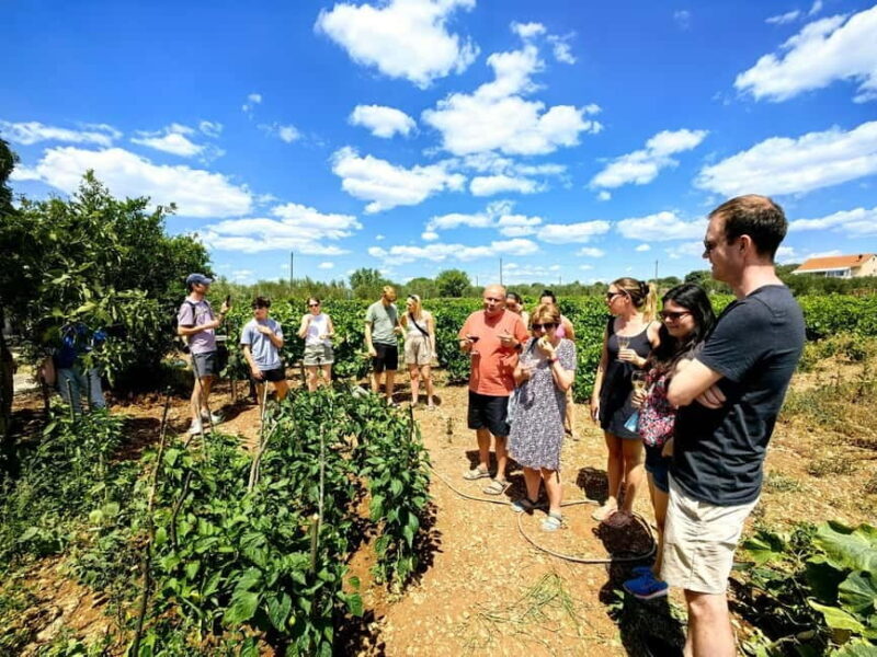 Krka waterfalls tour with lunch from Split - Lunch and Wine: A Taste of Dalmatia