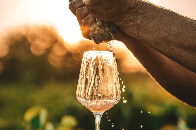 Krka Waterfalls & Wine and Cheese Tasting Tour from Split - Who Should Consider This Tour?