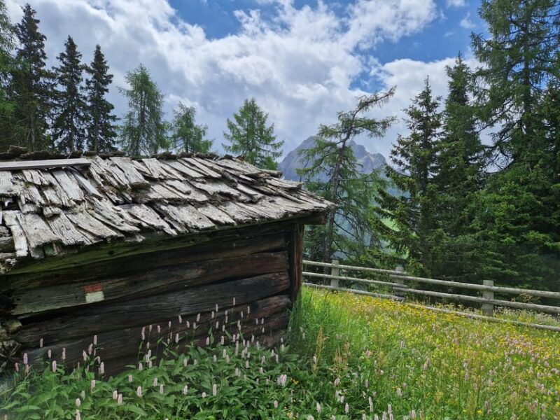 Kronplatz and 360° Panorama of the Alps and Dolomites - Key Highlights