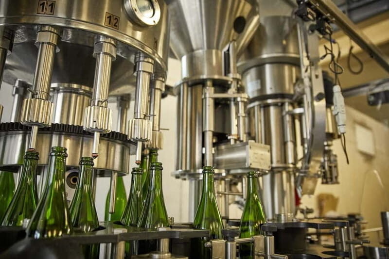 Kröv/Gut Hermes: Wine tour & tasting through the vineyard, winery, and sparkling wine production facility - Who Should Consider This Tour
