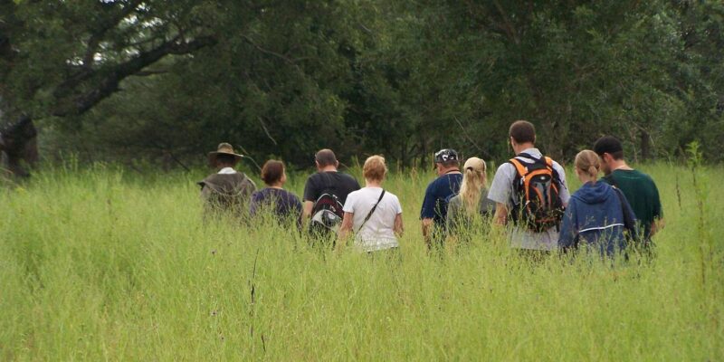 Kruger National Park: 3-Day Essence of the Kruger Safari - Good To Know