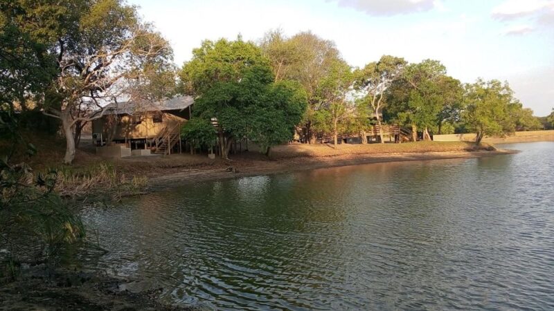 Kruger National Park: 3 Day Safari Tour - Day 3 Highlights