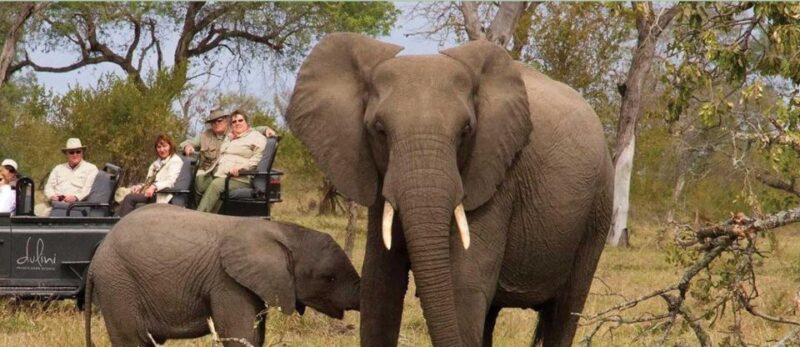 Kruger National Park 3 Day Tour From Johannesburg - Exploring Kruger National Park