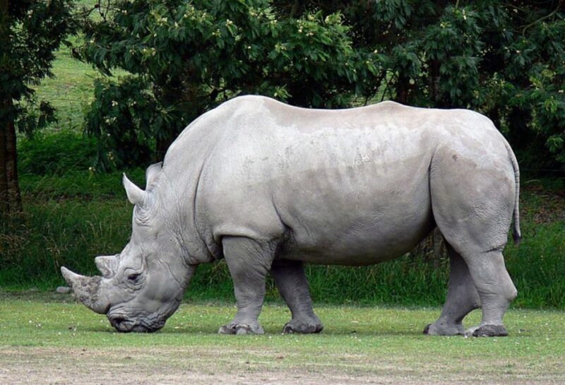 Kruger National Park 3 Day Tour From Johannesburg - Diversity of Life Forms