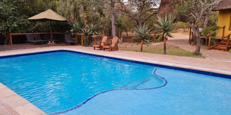 Kruger National Park: 4-Day Encounter the Kruger Park Safari - Itinerary Highlights