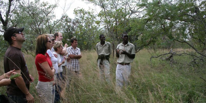 Kruger National Park: 4-Day Encounter the Kruger Park Safari - Included Activities and Meals