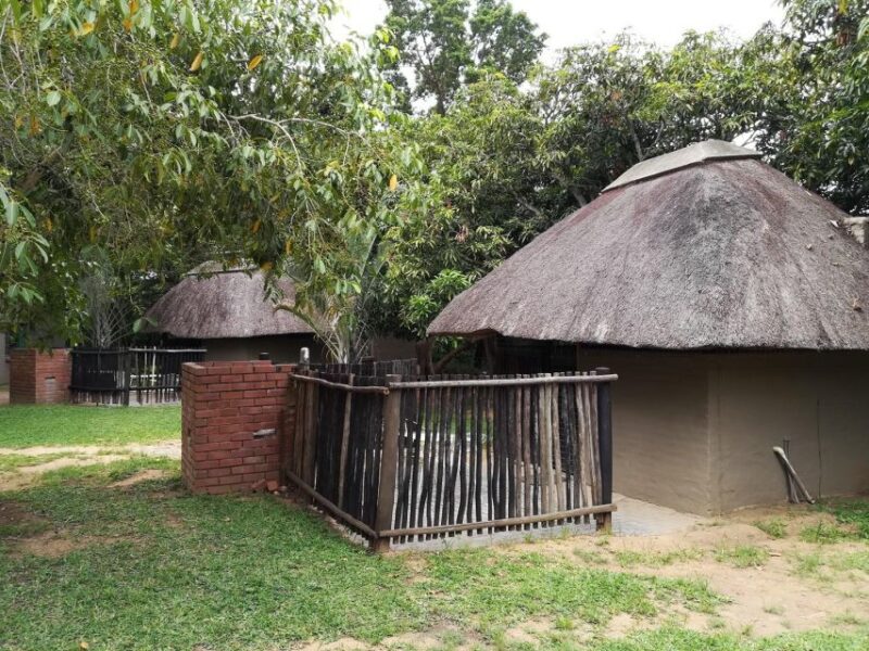 Kruger National Park - 4 Day Safari Tour - Itinerary Breakdown