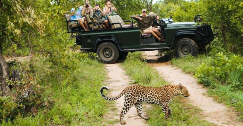 Kruger National Park - 4 Day Tour From Johannesburg - Itinerary Breakdown