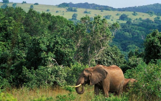 Kruger National Park - 4 Day Tour From Johannesburg - Cancellation Policy