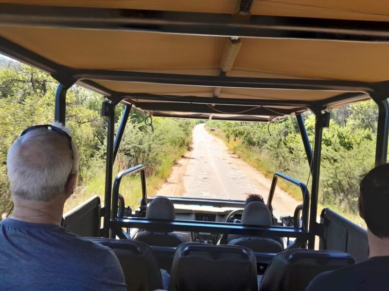 Kruger National Park: 4-Day Ultimate Safari Tour - A Deep Dive into the 4-Day Kruger Nature Escape