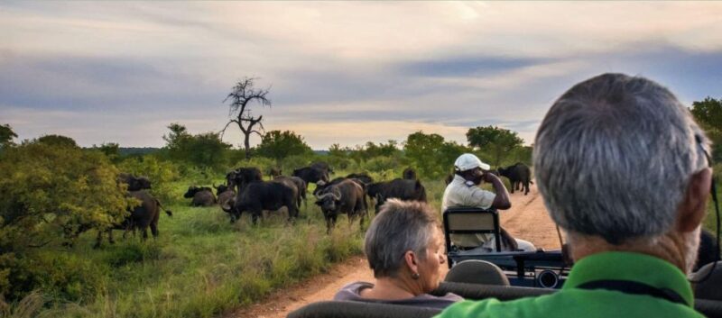 Kruger National Park Big 5 Tour - 4 Days From Johannesburg - Itinerary Breakdown