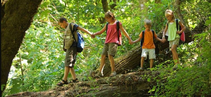Kruger National Park Big 5 Tour - 4 Days From Johannesburg - Departure and Arrival