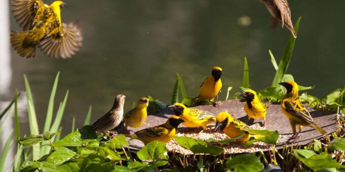 Kruger National Park & Blyde River Canyon 4 Day Safari - Frequently Asked Questions