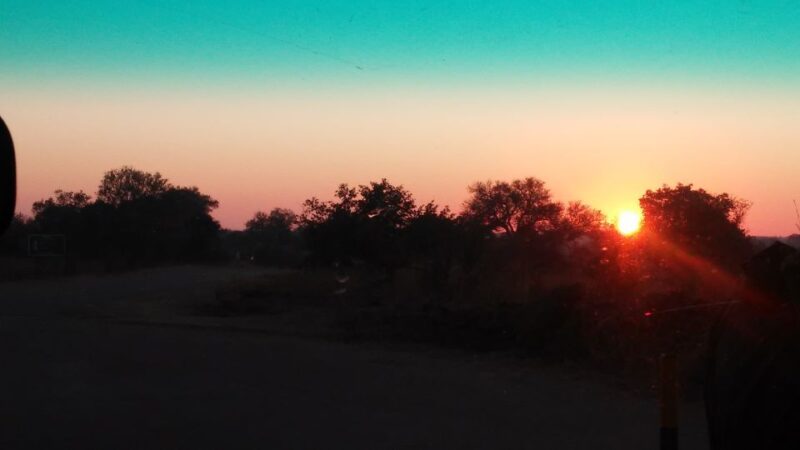 Kruger National Park Morning Safari - Spotting the Iconic Big 5