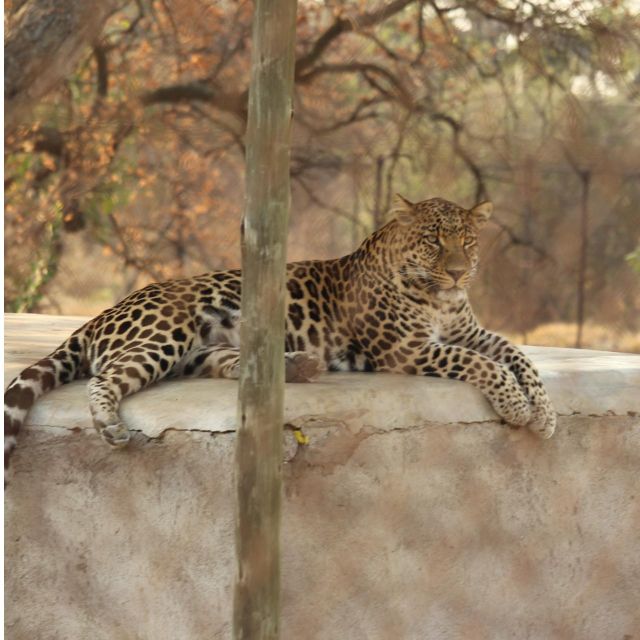 Kruger National Park Safari - 10days - Matsamo Cultural Village Experience