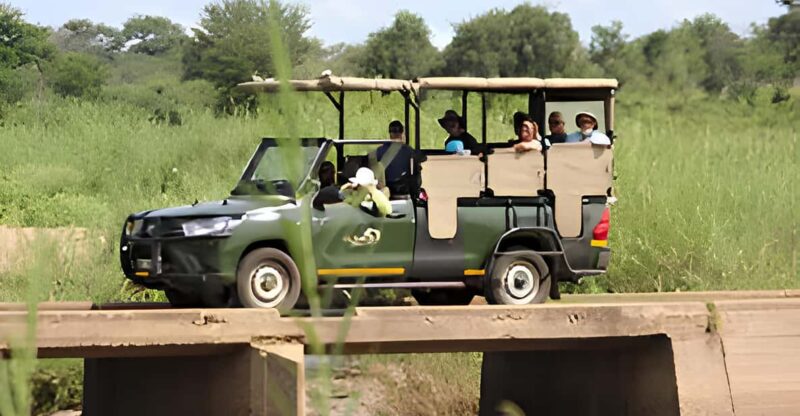 Kruger National Park Safari (Full Day) - Booking Information
