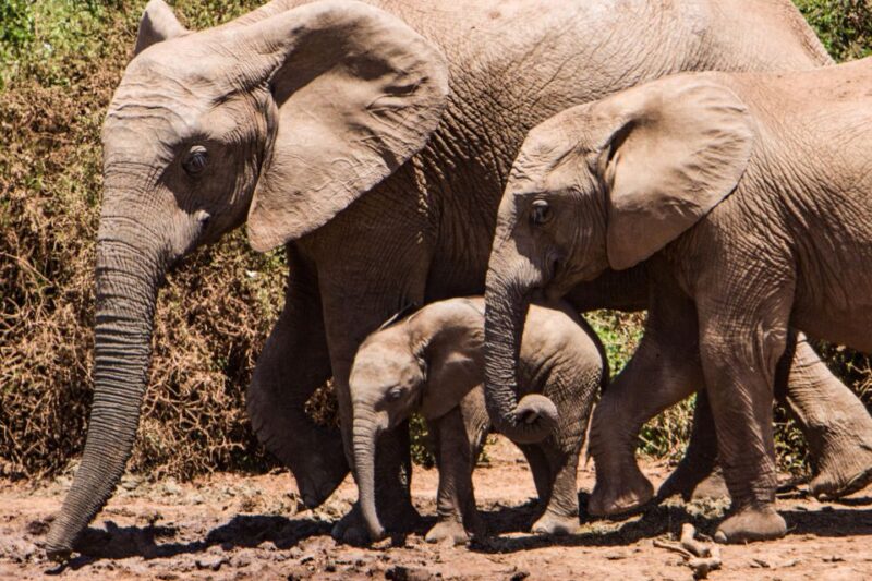Kruger National Park: Safari & Panorama Route - Panorama Route Highlights