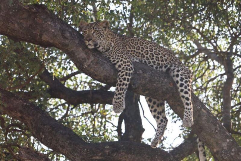 Kruger National Park, - Good To Know