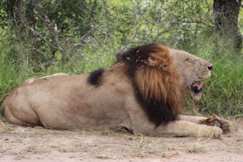 Kruger National Park, - Experience and Activities