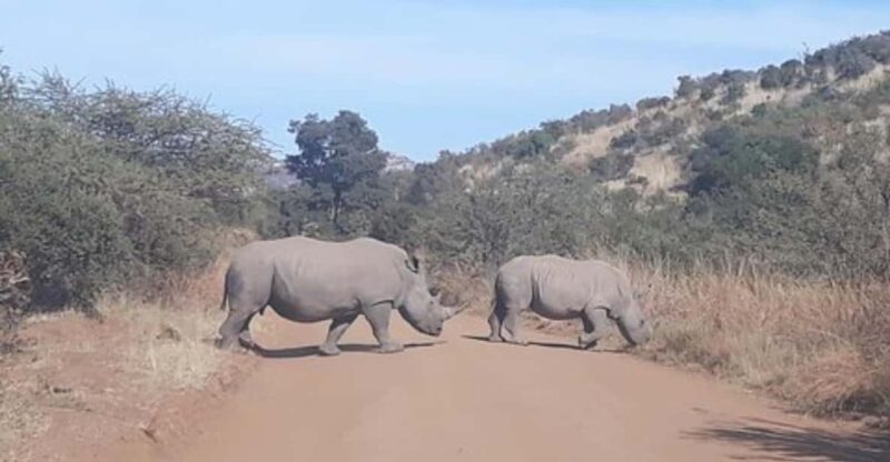 Kruger National Park Tour 4day-3nights (Open Safari Vehicle) - Itinerary Highlights