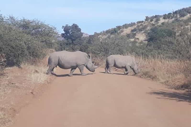 Kruger National Park Tour 4day-3nights (Open Safari Vehicle) - Panorama Route Adventure