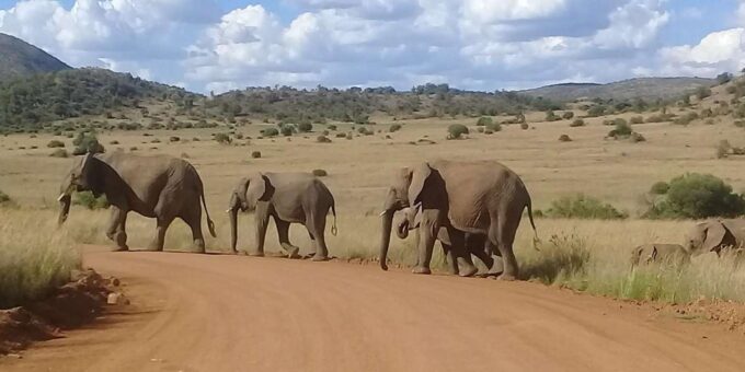 Kruger National Park Tour 4day-3nights (Open Safari Vehicle) - Booking and Flexibility