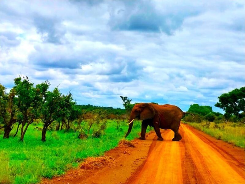 Kruger Park Full Day Guided Safari - Frequently Asked Questions (FAQs)