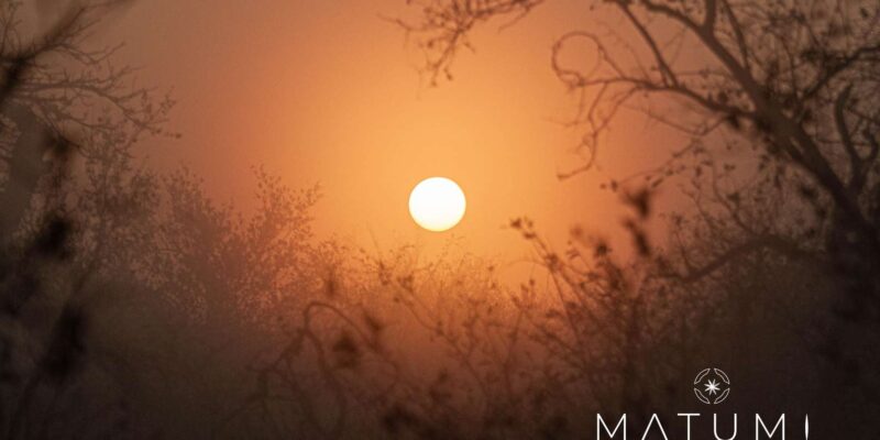 Kruger Park Full Day Safari (Private) - Safari Itinerary Details