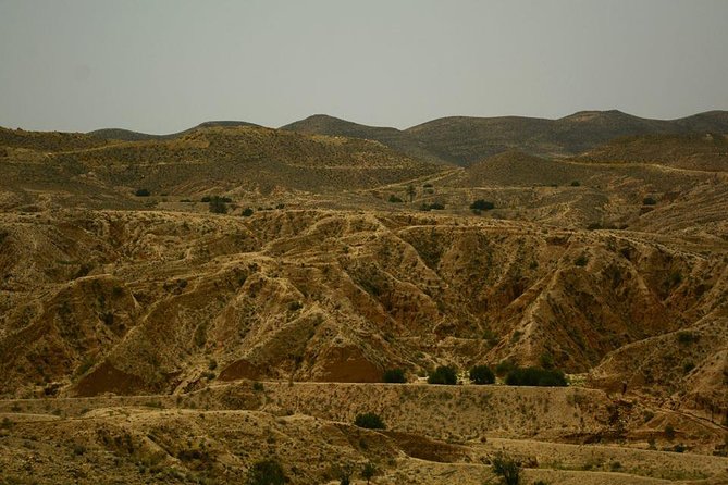 Ksar Ghilane 1 Day: the Hot Spring and the Homestay - Good To Know