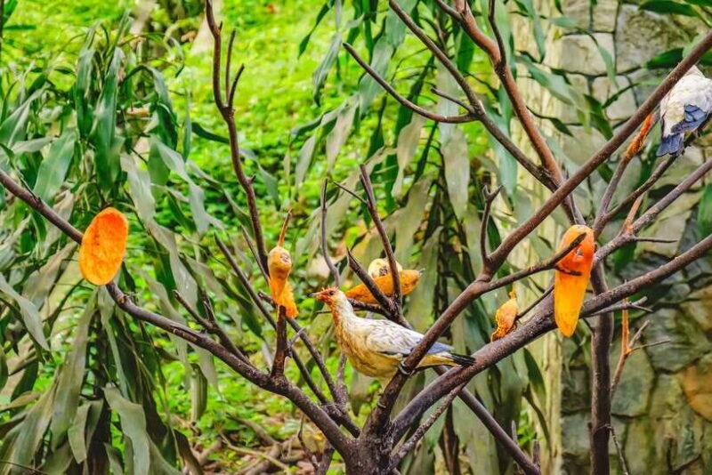 Kuala Lumpur: Bird Park Day Ticket & 1-Way Transfer - Final Thoughts: Is It Worth It?