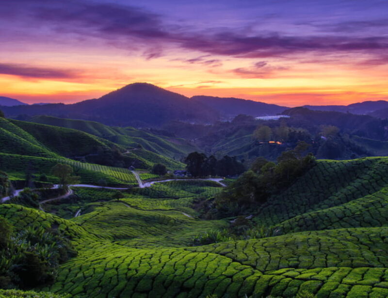 Kuala Lumpur: Customize Your Cameron Highlands Itinerary - Key Points